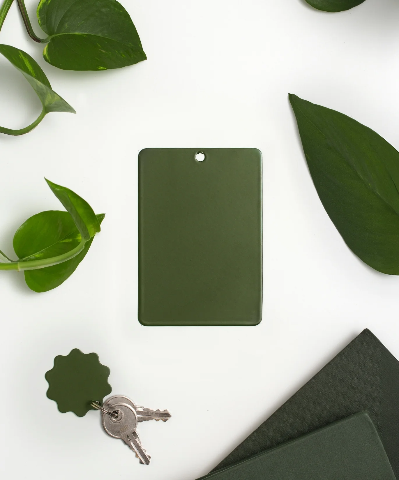 Colour Swatch in Olive - Image 2